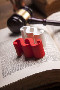 Picture of open book with gavel and two statute section symbols, one red and one white, on top of open book