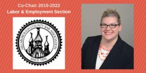Picture of Amanda Biondolino Co-Chair of Labor and Employment Law Section of Hillsborough County Bar Association 2019-2022