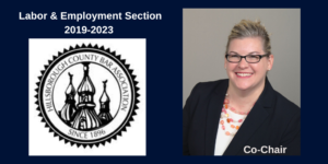 Picture of Amanda Biondolino next to logo of Hillsborough County Bar Association Co-Chair Labor and Employment Section 2019-2023